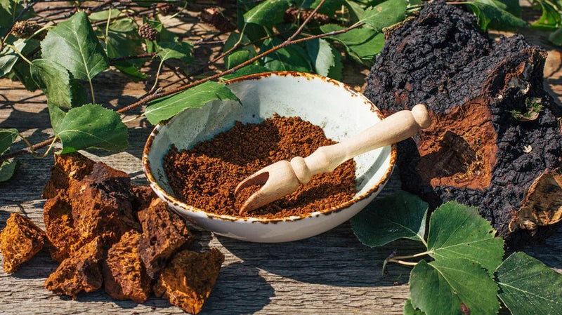 Golden Chaga Mushroom Balm