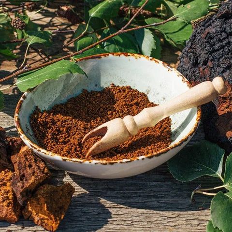 Golden Chaga Mushroom Balm