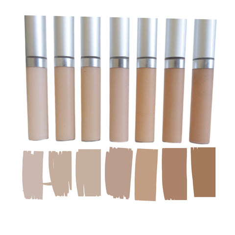 Wise Disguise Liquid Concealer