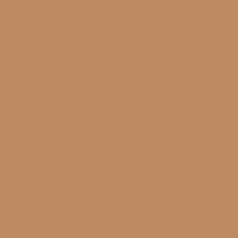 Disquise Concealer