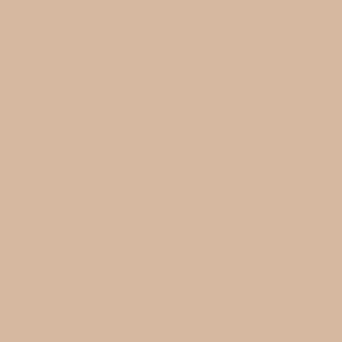 Disquise Concealer