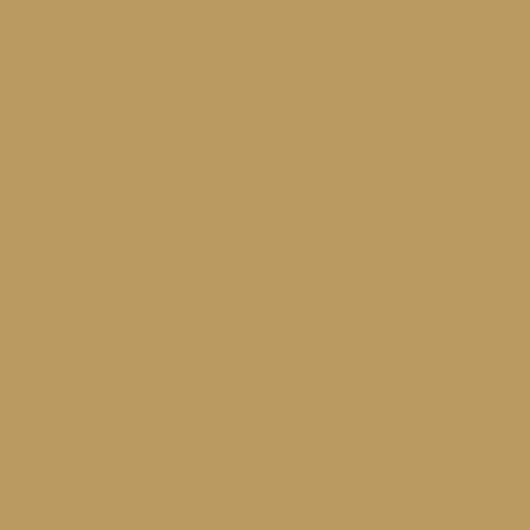 Disquise Concealer