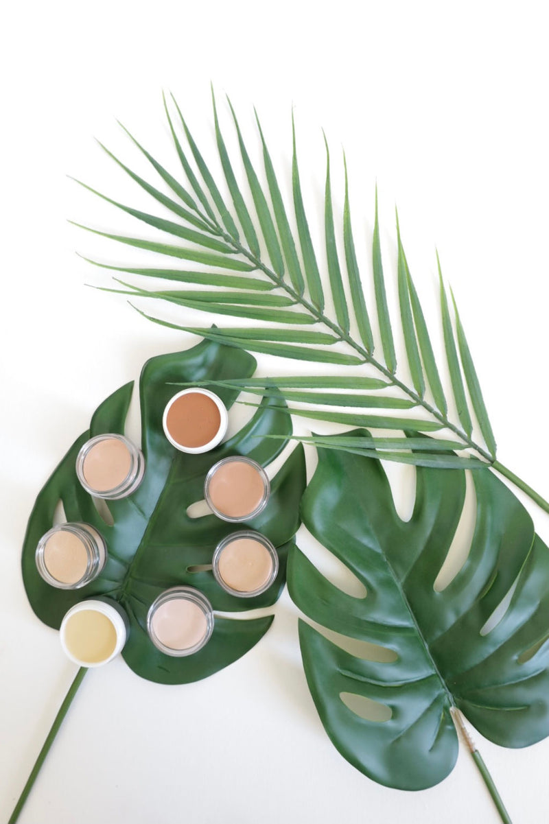 Disquise Concealer