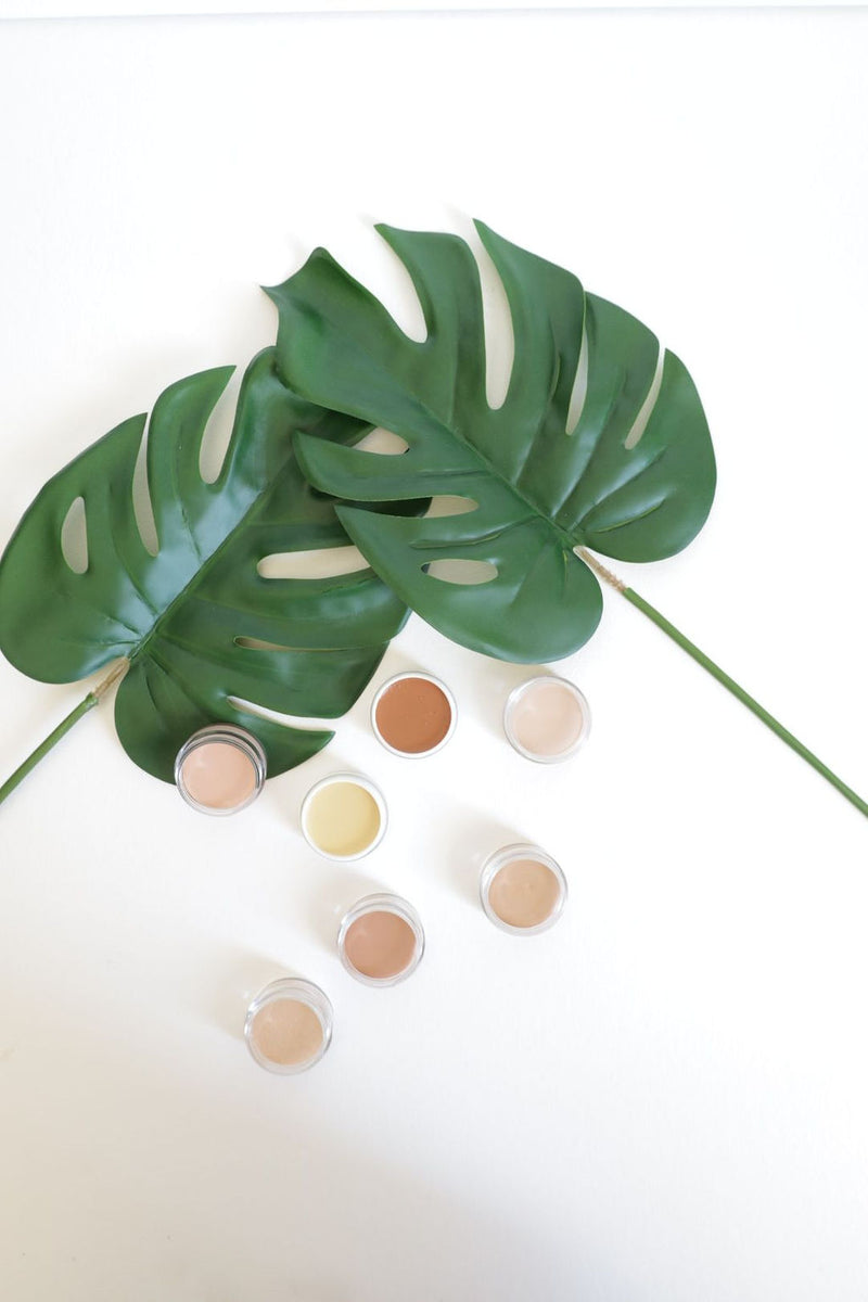 Disquise Concealer