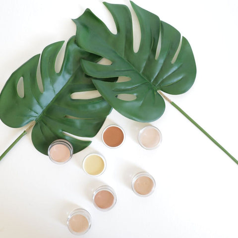 Disquise Concealer