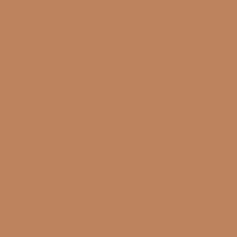 Disquise Concealer