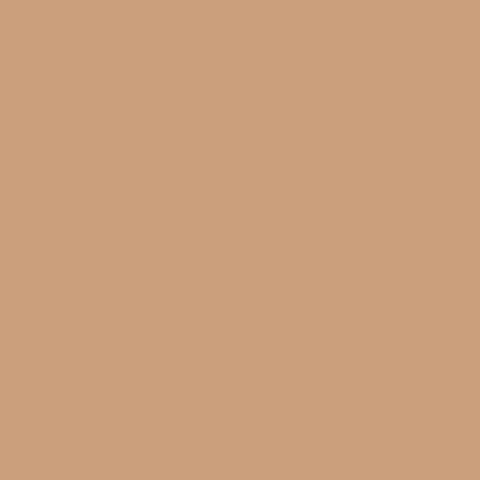 Disquise Concealer